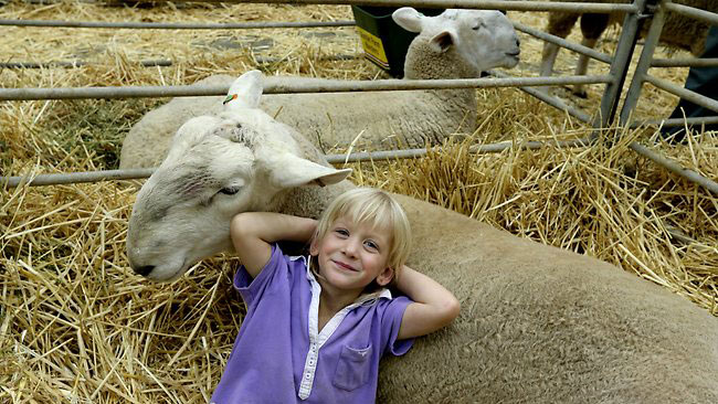 Wattle Farm CHRISTINE SUTTON /edit/Images/CHRISTINE-SUTTON.JPG