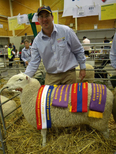 Wattle Farm Sydney Royal 2012 /edit/Images/DSCN3559.JPG